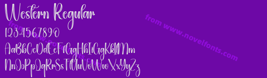 Western RegularPreview Western RegularPreview