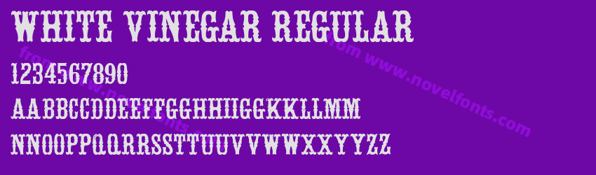 White Vinegar RegularPreview White Vinegar RegularPreview