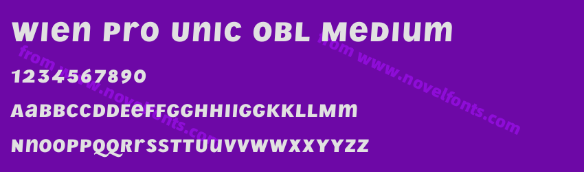 Wien Pro Unic Obl MediumPreview Wien Pro Unic Obl MediumPreview