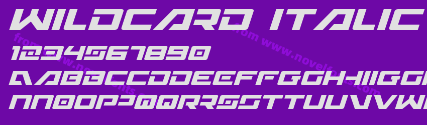 Wildcard ItalicPreview Wildcard ItalicPreview
