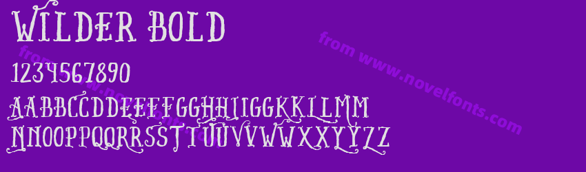 Wilder BoldPreview Wilder BoldPreview