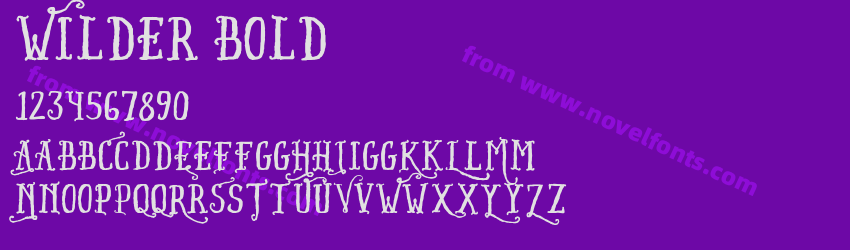 Wilder BoldPreview Wilder BoldPreview