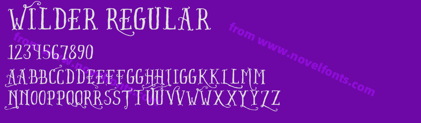 Wilder RegularPreview Wilder RegularPreview