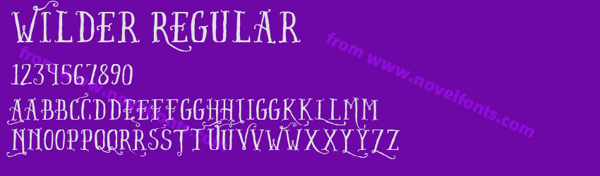 Wilder RegularPreview Wilder RegularPreview