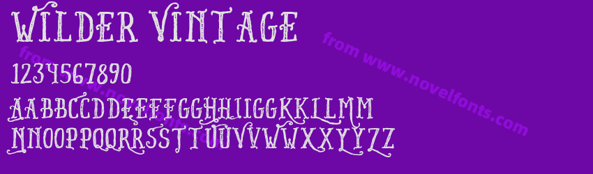 Wilder VintagePreview Wilder VintagePreview
