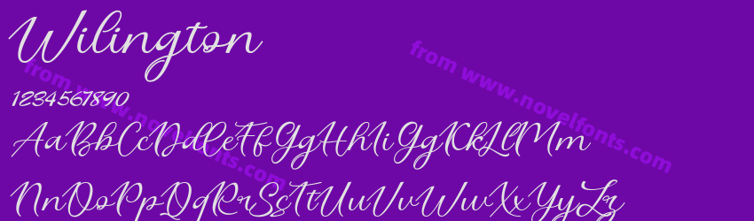 WilingtonPreview WilingtonPreview