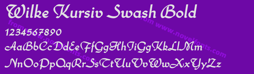 Wilke Kursiv Swash BoldPreview Wilke Kursiv Swash BoldPreview