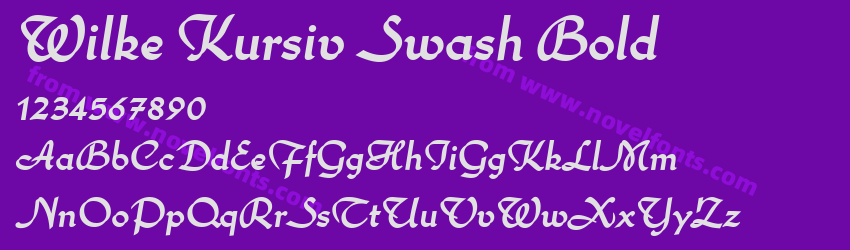 Wilke Kursiv Swash BoldPreview Wilke Kursiv Swash BoldPreview