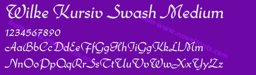 Wilke Kursiv Swash MediumPreview Wilke Kursiv Swash MediumPreview
