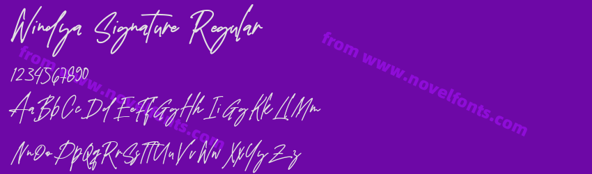 Windya Signature RegularPreview Windya Signature RegularPreview