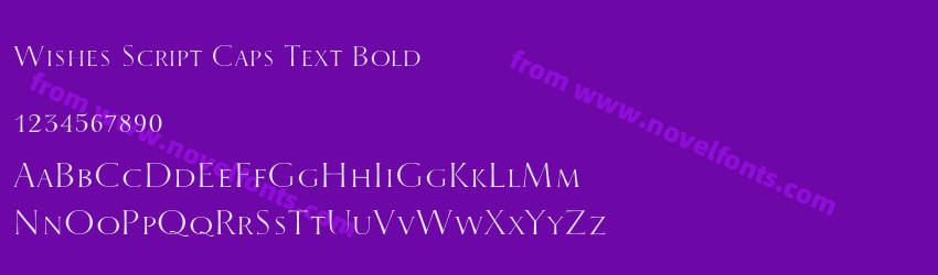 Wishes Script Caps Text BoldPreview Wishes Script Caps Text BoldPreview