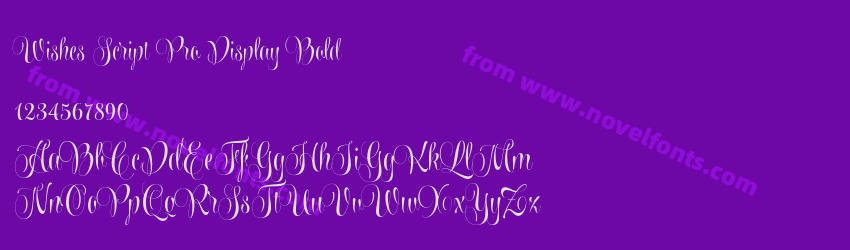 Wishes Script Pro Display BoldPreview Wishes Script Pro Display BoldPreview