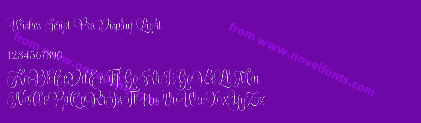 Wishes Script Pro Display LightPreview Wishes Script Pro Display LightPreview