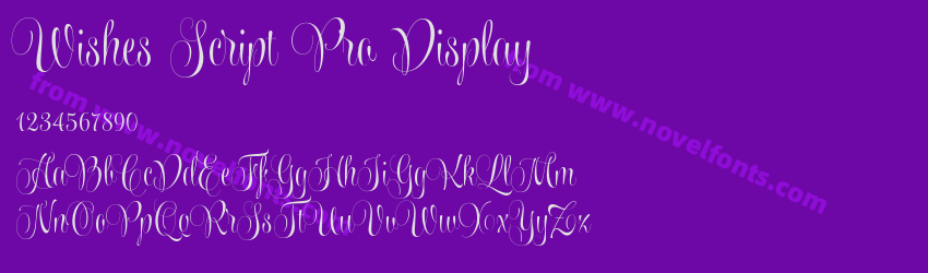 Wishes Script Pro DisplayPreview Wishes Script Pro DisplayPreview