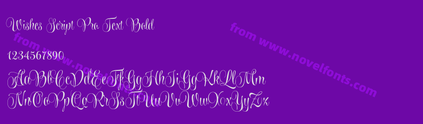 Wishes Script Pro Text BoldPreview Wishes Script Pro Text BoldPreview