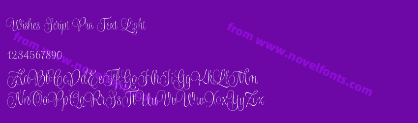 Wishes Script Pro Text LightPreview Wishes Script Pro Text LightPreview