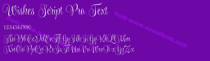 Wishes Script Pro TextPreview Wishes Script Pro TextPreview