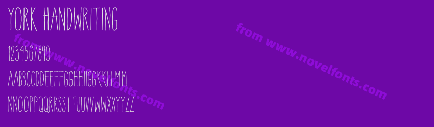 York HandwritingPreview York HandwritingPreview