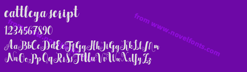 cattleya scriptPreview cattleya scriptPreview