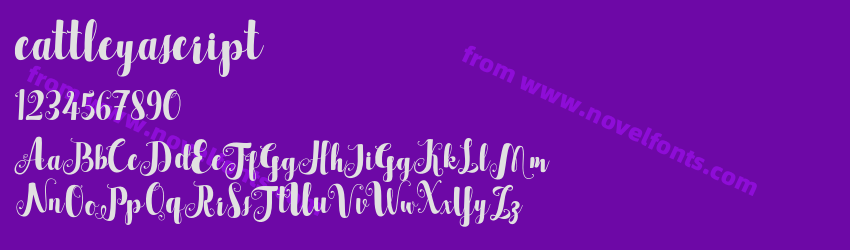 cattleyascriptPreview cattleyascriptPreview