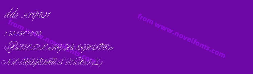 dds script01Preview dds script01Preview