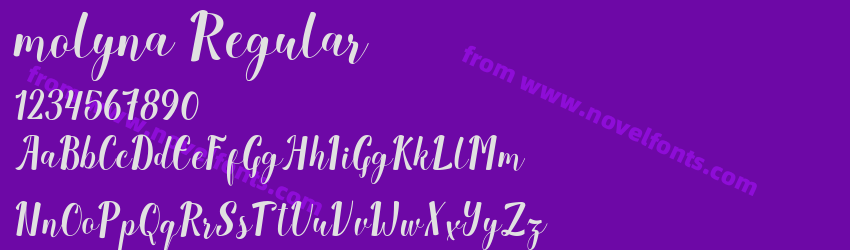 molyna RegularPreview molyna RegularPreview