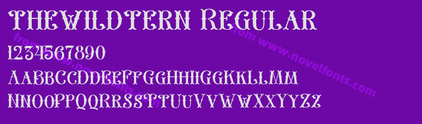 thewildtern RegularPreview thewildtern RegularPreview