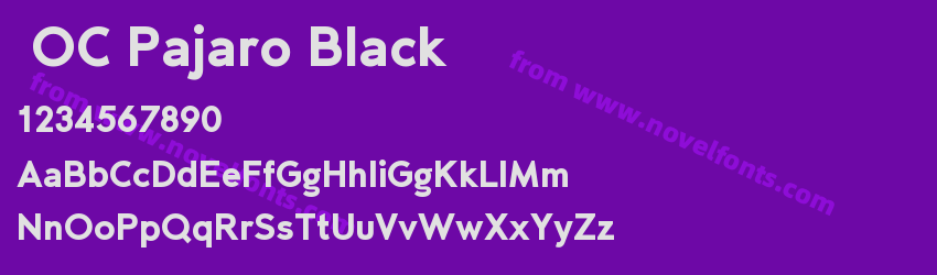 OC Pajaro BlackPreview OC Pajaro BlackPreview