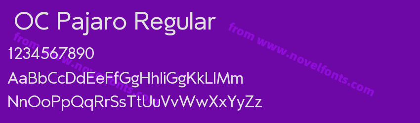 OC Pajaro RegularPreview OC Pajaro RegularPreview
