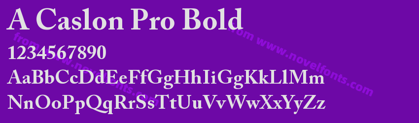 A Caslon Pro BoldPreview
