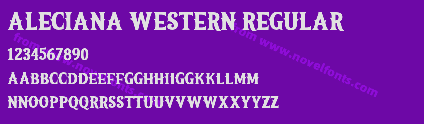 ALECIANA WESTERN RegularPreview ALECIANA WESTERN RegularPreview