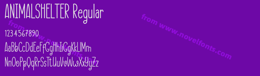 ANIMALSHELTER RegularPreview ANIMALSHELTER RegularPreview