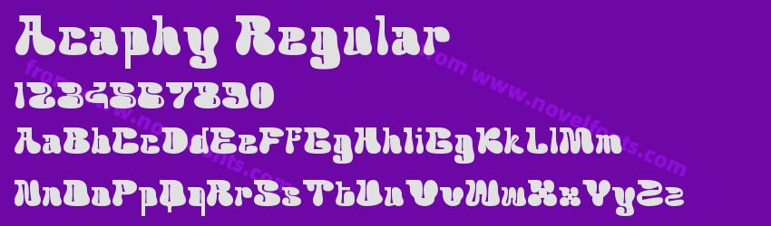 Acaphy RegularPreview