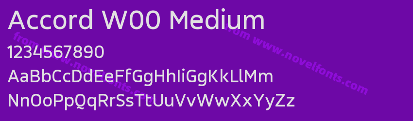 Accord W00 MediumPreview Accord W00 MediumPreview