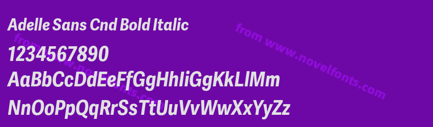 Adelle Sans Cnd Bold ItalicPreview