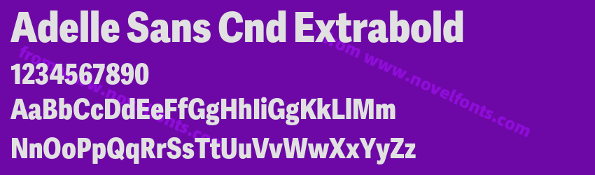 Adelle Sans Cnd ExtraboldPreview Adelle Sans Cnd ExtraboldPreview