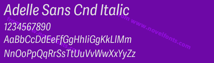 Adelle Sans Cnd ItalicPreview