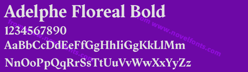 Adelphe Floreal BoldPreview Adelphe Floreal BoldPreview