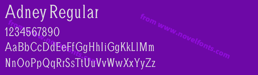 Adney RegularPreview Adney RegularPreview