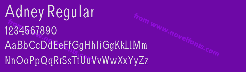 Adney RegularPreview Adney RegularPreview