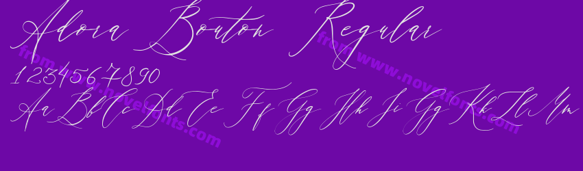 Adora Bouton RegularPreview
