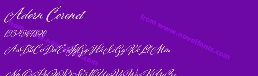 Adorn CoronetPreview Adorn CoronetPreview