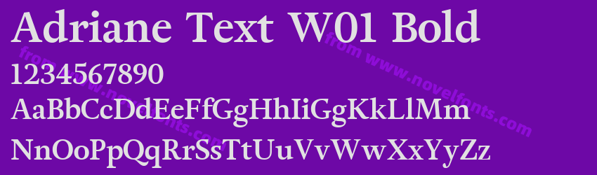 Adriane Text W01 BoldPreview