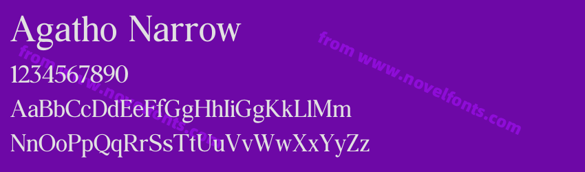 Agatho NarrowPreview