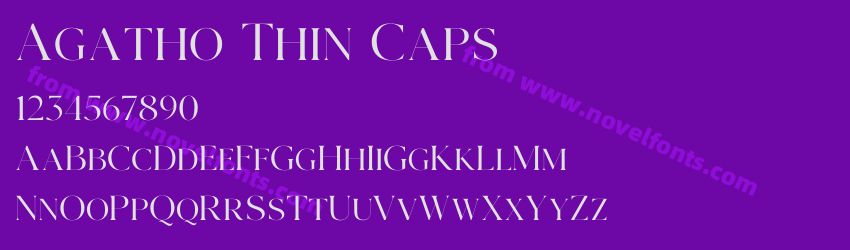Agatho Thin CapsPreview Agatho Thin CapsPreview