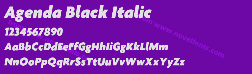 Agenda Black ItalicPreview Agenda Black ItalicPreview