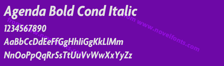 Agenda Bold Cond ItalicPreview Agenda Bold Cond ItalicPreview