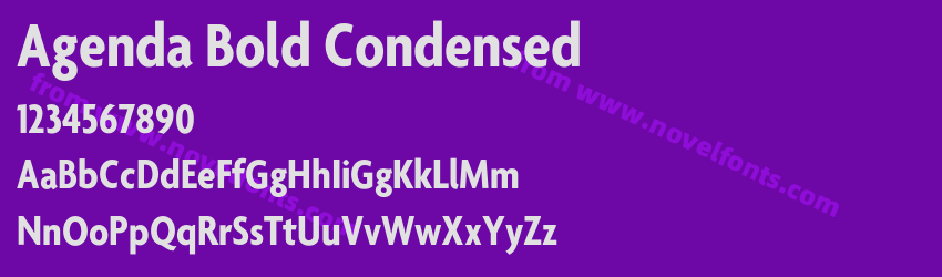 Agenda Bold CondensedPreview Agenda Bold CondensedPreview