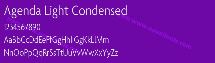 Agenda Light CondensedPreview Agenda Light CondensedPreview