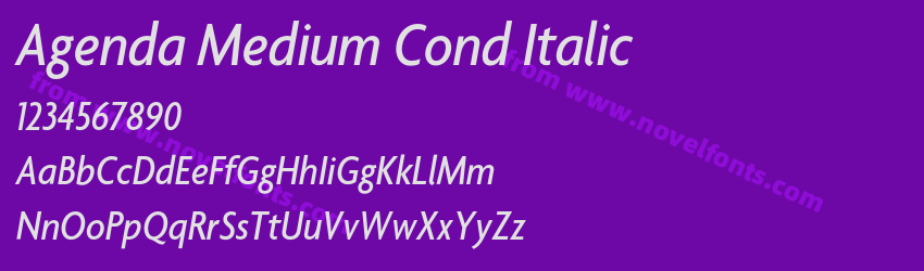 Agenda Medium Cond ItalicPreview Agenda Medium Cond ItalicPreview